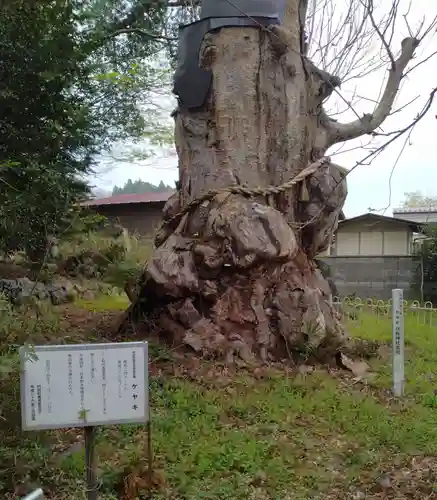 白鳥神社(宮城県)