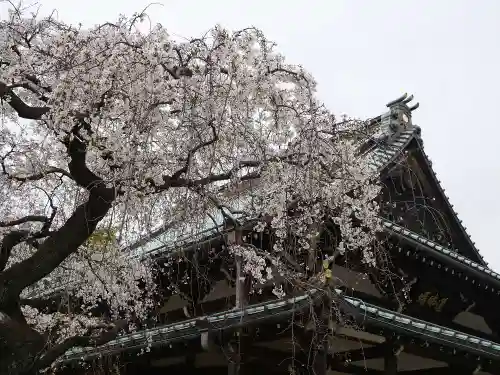 豪徳寺のその他建物