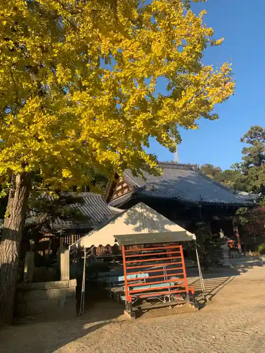 金泉寺(徳島県)