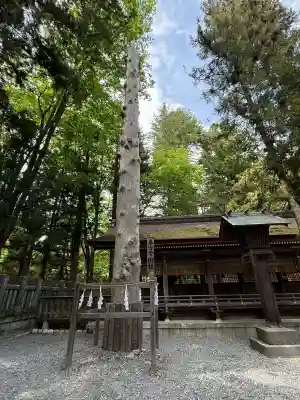 諏訪大社下社春宮(長野県)