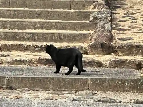 聖天院(埼玉県)