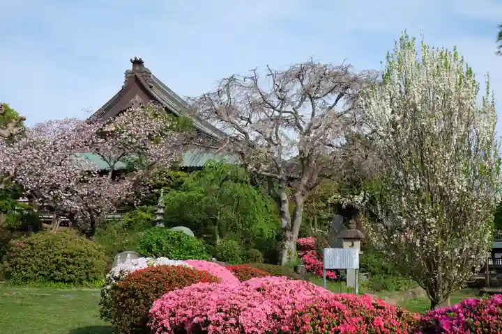時宗総本山 遊行寺(正式:清浄光寺)の庭園