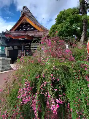 如宝寺(福島県)
