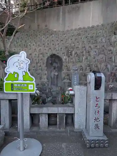 大圓寺(東京都)