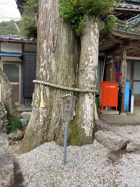 鳴谷神社(三重県)