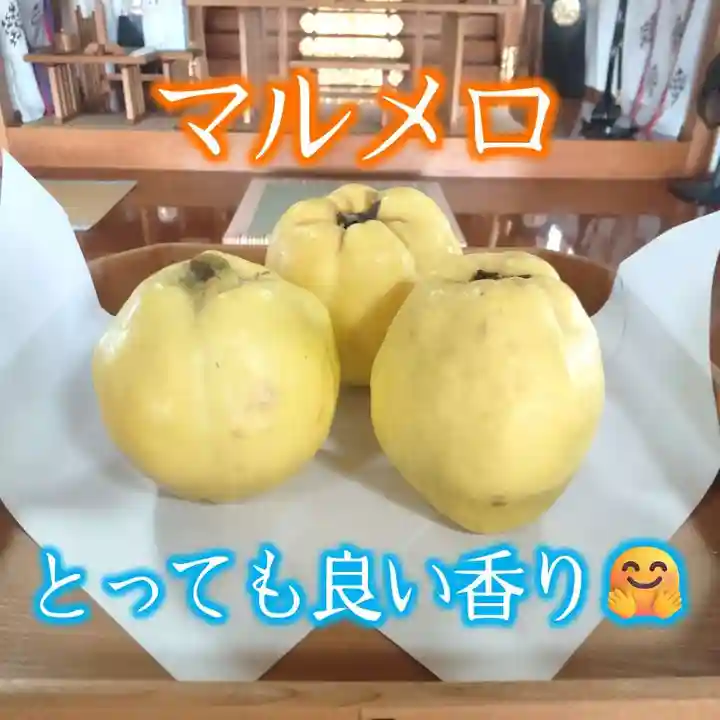 七重浜海津見神社(北海道)