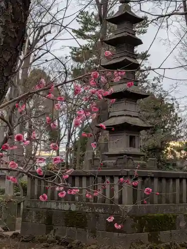 妙法寺(東京都)