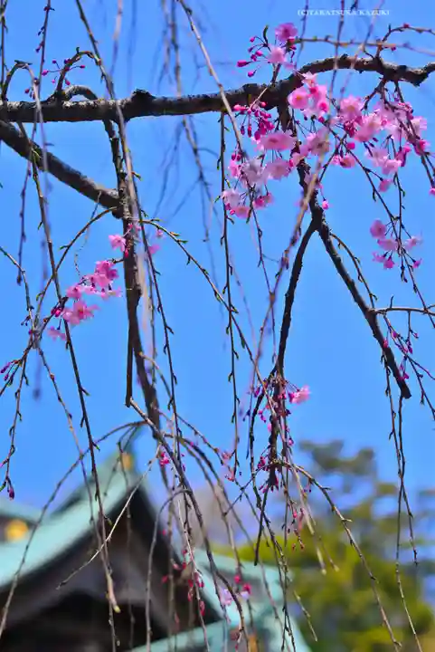 師岡熊野神社(神奈川県)