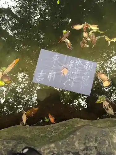 八重垣神社のおみくじ