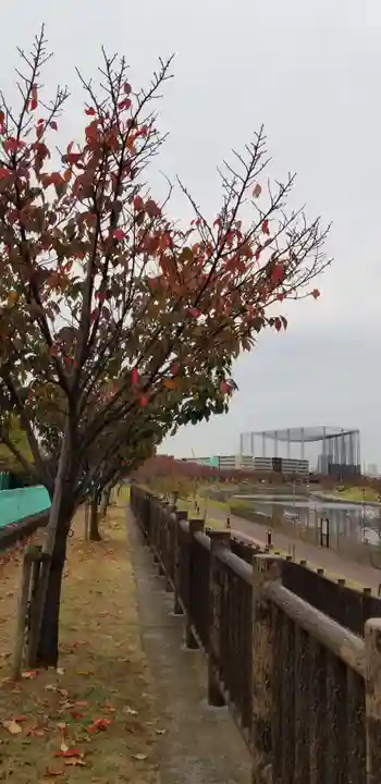 諏訪神社の周辺