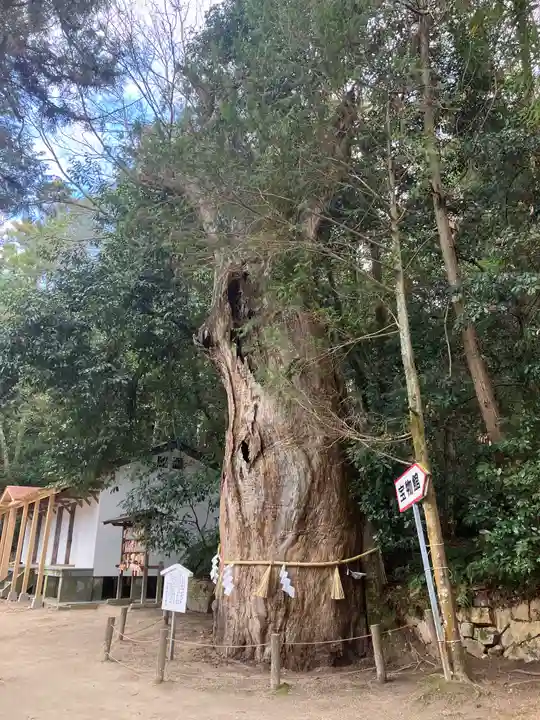 大山祇神社(愛媛県)
