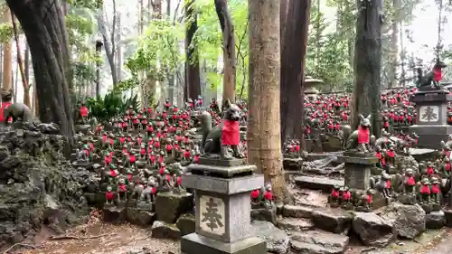 豊川閣　妙厳寺の狛犬