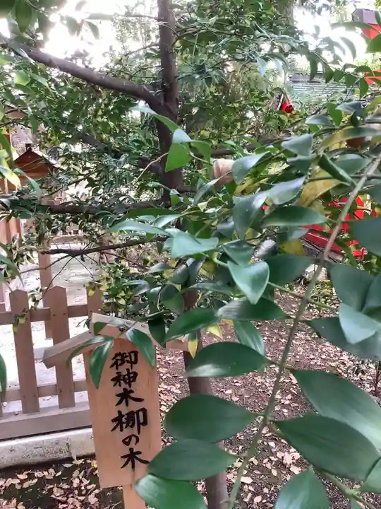 闇之森八幡社の自然