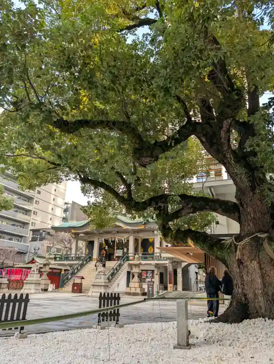 難波神社の{uncategorized: "未分類", other: "その他", undefined: "問題あり", building: "その他建物", grave: "お墓", sacred_gate: "鳥居", guardian: "狛犬", statue: "像", buddha: "仏像", history: "歴史", nature: "自然", garden: "庭園", animal: "動物", pagoda: "塔", temizu: "手水舎", mountain_gate: "山門・神門", sanctuary: "本殿・本堂", subordinate: "末社・摂社", art: "芸術", scenery: "景色", jizo: "地蔵", ema: "絵馬", goshuin: "御朱印", omikuji: "おみくじ", items: "授与品その他", amulet: "お守り", goshuincho: "御朱印帳", eats: "食事", festival: "お祭り", votive_dance: "神楽", shichigosan: "七五三参", wedding: "結婚式", experience: "体験その他", initially: "初詣", around: "周辺", anti_infection: "感染症対策"}