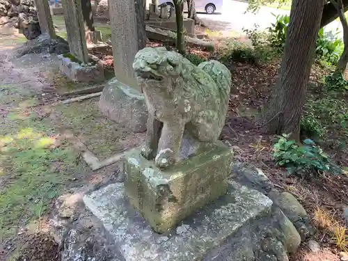 塚崎香取神社の狛犬