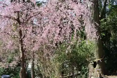 阿久津「田村神社」（郡山市阿久津町）旧社名：伊豆箱根三嶋三社の庭園