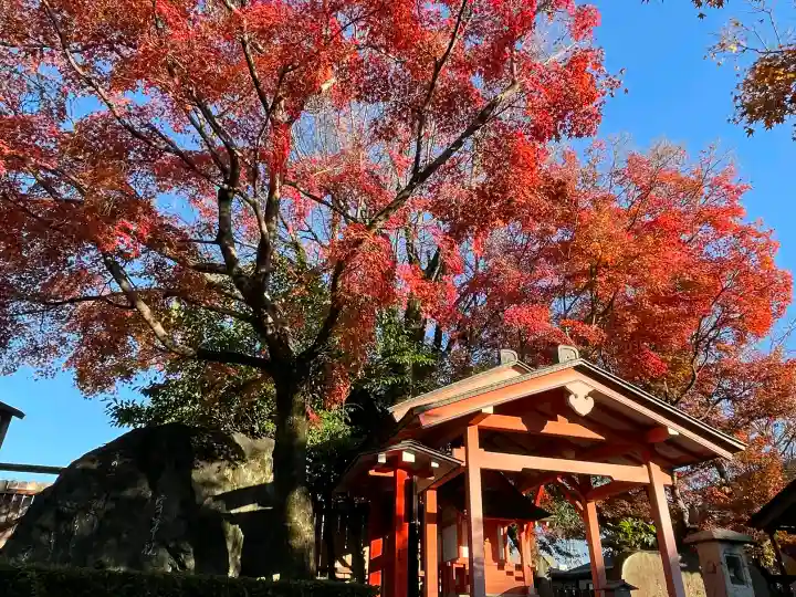 車折神社の{uncategorized: "未分類", other: "その他", undefined: "問題あり", building: "その他建物", grave: "お墓", sacred_gate: "鳥居", guardian: "狛犬", statue: "像", buddha: "仏像", history: "歴史", nature: "自然", garden: "庭園", animal: "動物", pagoda: "塔", temizu: "手水舎", mountain_gate: "山門・神門", sanctuary: "本殿・本堂", subordinate: "末社・摂社", art: "芸術", scenery: "景色", jizo: "地蔵", ema: "絵馬", goshuin: "御朱印", omikuji: "おみくじ", items: "授与品その他", amulet: "お守り", goshuincho: "御朱印帳", eats: "食事", festival: "お祭り", votive_dance: "神楽", shichigosan: "七五三参", wedding: "結婚式", experience: "体験その他", initially: "初詣", around: "周辺", anti_infection: "感染症対策"}