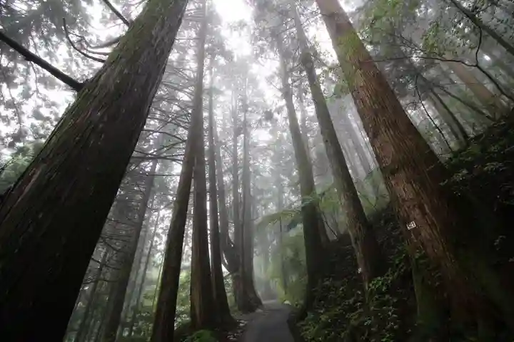 武蔵御嶽神社の自然