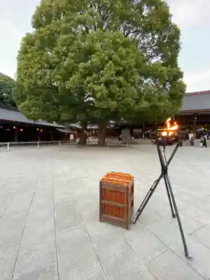 明治神宮(東京都)