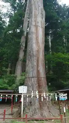 日光二荒山神社(栃木県)