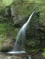 虚空蔵尊南光院の自然