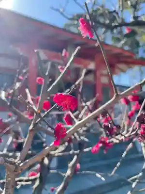 貴布袮神社の自然