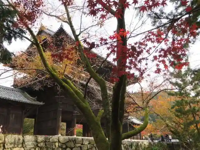 南禅寺(京都府)