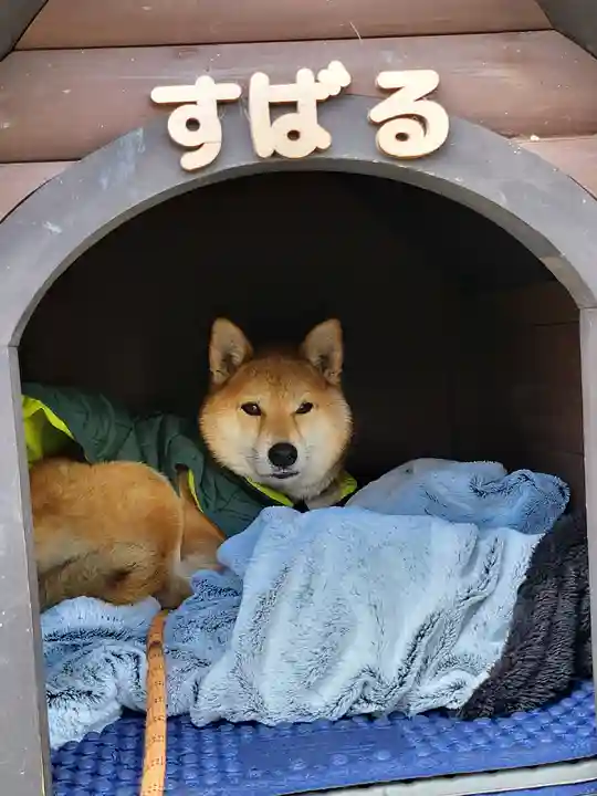 感通寺(東京都)