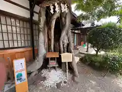 三輪恵比須神社(奈良県)