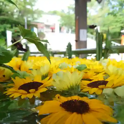 住吉神社の手水舎