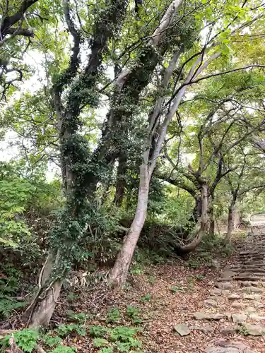 赤神神社の景色