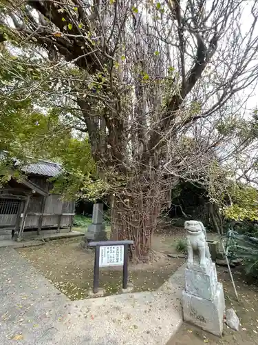 大原神社のその他建物