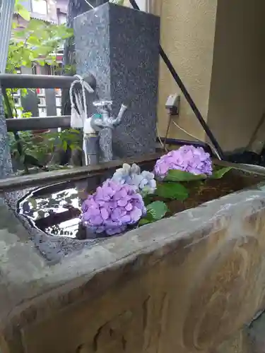 菊名神社の手水舎