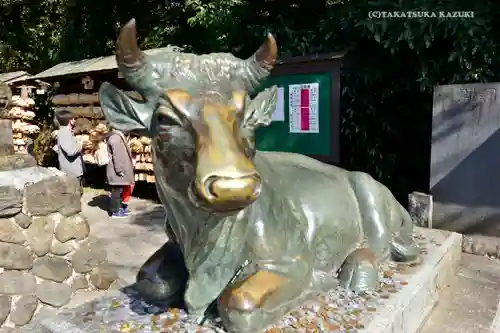 谷保天満宮の狛犬