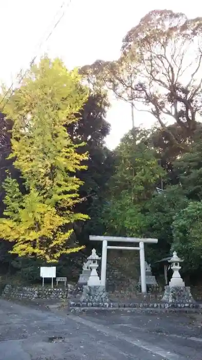 八幡神社の建物その他