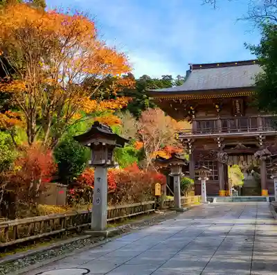 秋葉山本宮 秋葉神社 上社の山門・神門