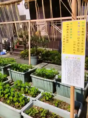 鷲神社(東京都)