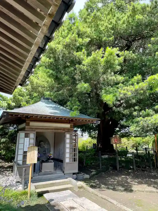 安養院 (田代寺)(神奈川県)
