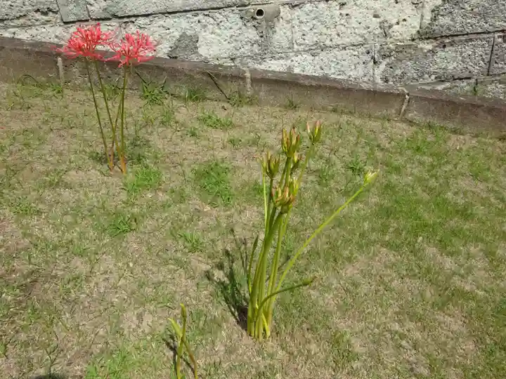 横浜 西方寺の自然