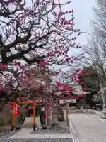 布多天神社(東京都)