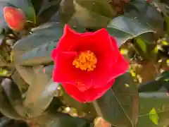 常宮神社の自然