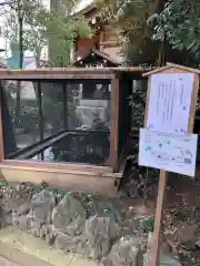 松戸神社の建物その他