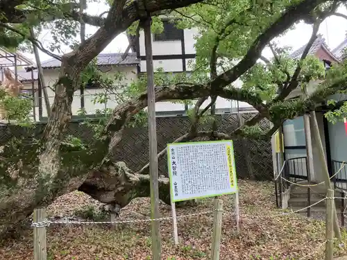 大智院（清水寺大智院）の歴史