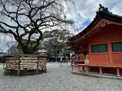 富士山本宮浅間大社(静岡県)