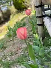 高屋敷稲荷神社(福島県)