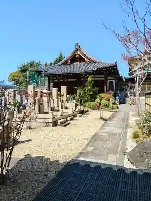 天暁院の{uncategorized: "未分類", other: "その他", undefined: "問題あり", building: "その他建物", grave: "お墓", sacred_gate: "鳥居", guardian: "狛犬", statue: "像", buddha: "仏像", history: "歴史", nature: "自然", garden: "庭園", animal: "動物", pagoda: "塔", temizu: "手水舎", mountain_gate: "山門・神門", sanctuary: "本殿・本堂", subordinate: "末社・摂社", art: "芸術", scenery: "景色", jizo: "地蔵", ema: "絵馬", goshuin: "御朱印", omikuji: "おみくじ", items: "授与品その他", amulet: "お守り", goshuincho: "御朱印帳", eats: "食事", festival: "お祭り", votive_dance: "神楽", shichigosan: "七五三参", wedding: "結婚式", experience: "体験その他", initially: "初詣", around: "周辺", anti_infection: "感染症対策"}