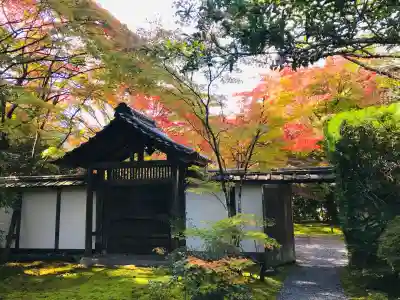 西芳寺の{uncategorized: "未分類", other: "その他", undefined: "問題あり", building: "その他建物", grave: "お墓", sacred_gate: "鳥居", guardian: "狛犬", statue: "像", buddha: "仏像", history: "歴史", nature: "自然", garden: "庭園", animal: "動物", pagoda: "塔", temizu: "手水舎", mountain_gate: "山門・神門", sanctuary: "本殿・本堂", subordinate: "末社・摂社", art: "芸術", scenery: "景色", jizo: "地蔵", ema: "絵馬", goshuin: "御朱印", omikuji: "おみくじ", items: "授与品その他", amulet: "お守り", goshuincho: "御朱印帳", eats: "食事", festival: "お祭り", votive_dance: "神楽", shichigosan: "七五三参", wedding: "結婚式", experience: "体験その他", initially: "初詣", around: "周辺", anti_infection: "感染症対策"}