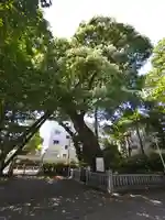 青渭神社(東京都)