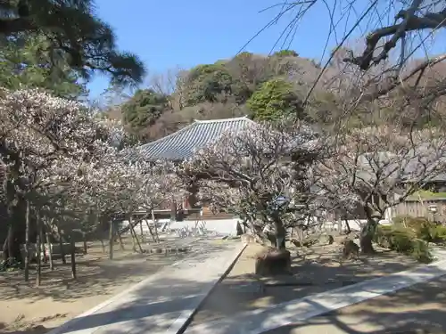 地福寺(神奈川県)