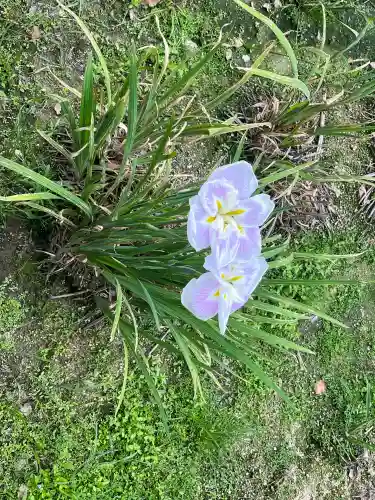 知立神社(愛知県)